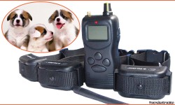 Электронный ошейник WT759 Multi-Dog PET900DB профи 1000 метров