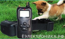 Электронный ошейник WT759 Multi-Dog PET900DB профи 1000 метров