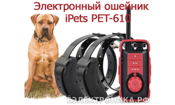 Электронный ошейник для дрессировки собак iPets PET610