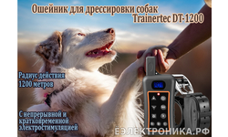 Электронный ошейник для дрессировки собак Trainertec DT-1200