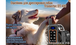 Электронный ошейник для дрессировки собак Trainertec DT-400