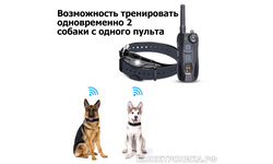 Электронный ошейник для собак Trainertec DT4200