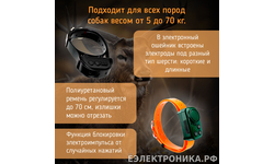 Электронный ошейник с бипером Amazin Hunter Beeper DB600