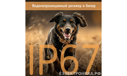 Электронный ошейник с бипером Amazin Hunter Beeper DB600