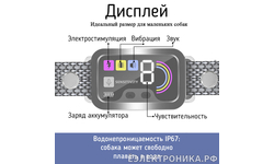 Ошейник антилай для собак Amazin B657