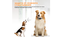 Умный антилай Amazin SmartB-800